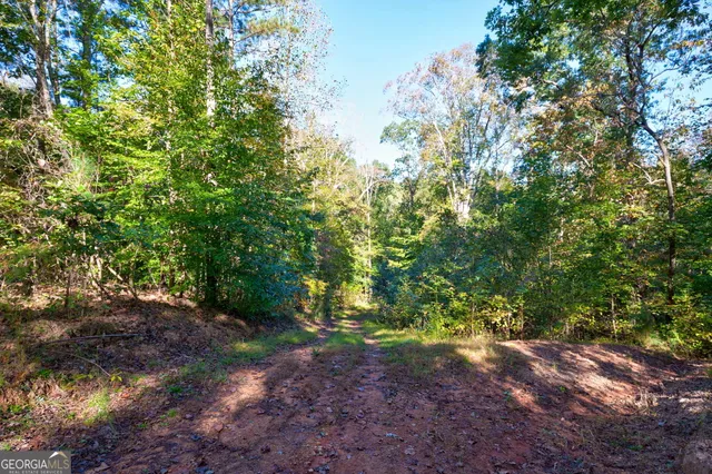 $417,000 | 1 Bridges Road, Carlton, GA 30627