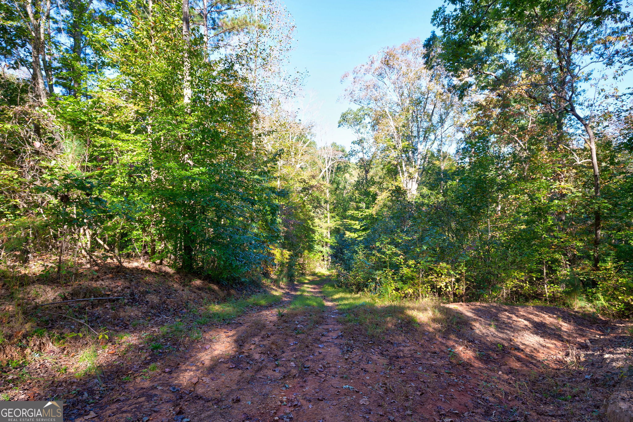 1 Bridges Road Carlton, GA 30627 - Photo 14 of 33