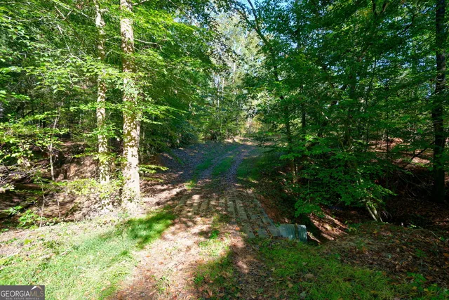 $417,000 | 1 Bridges Road, Carlton, GA 30627