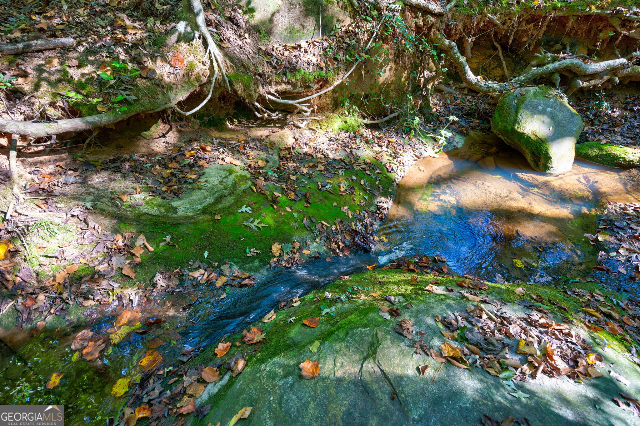 1 Bridges Road Carlton, GA 30627 - Photo 16 of 33