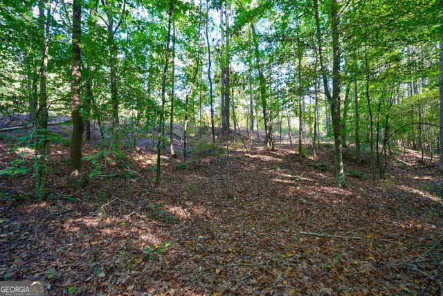 $417,000 | 1 Bridges Road, Carlton, GA 30627