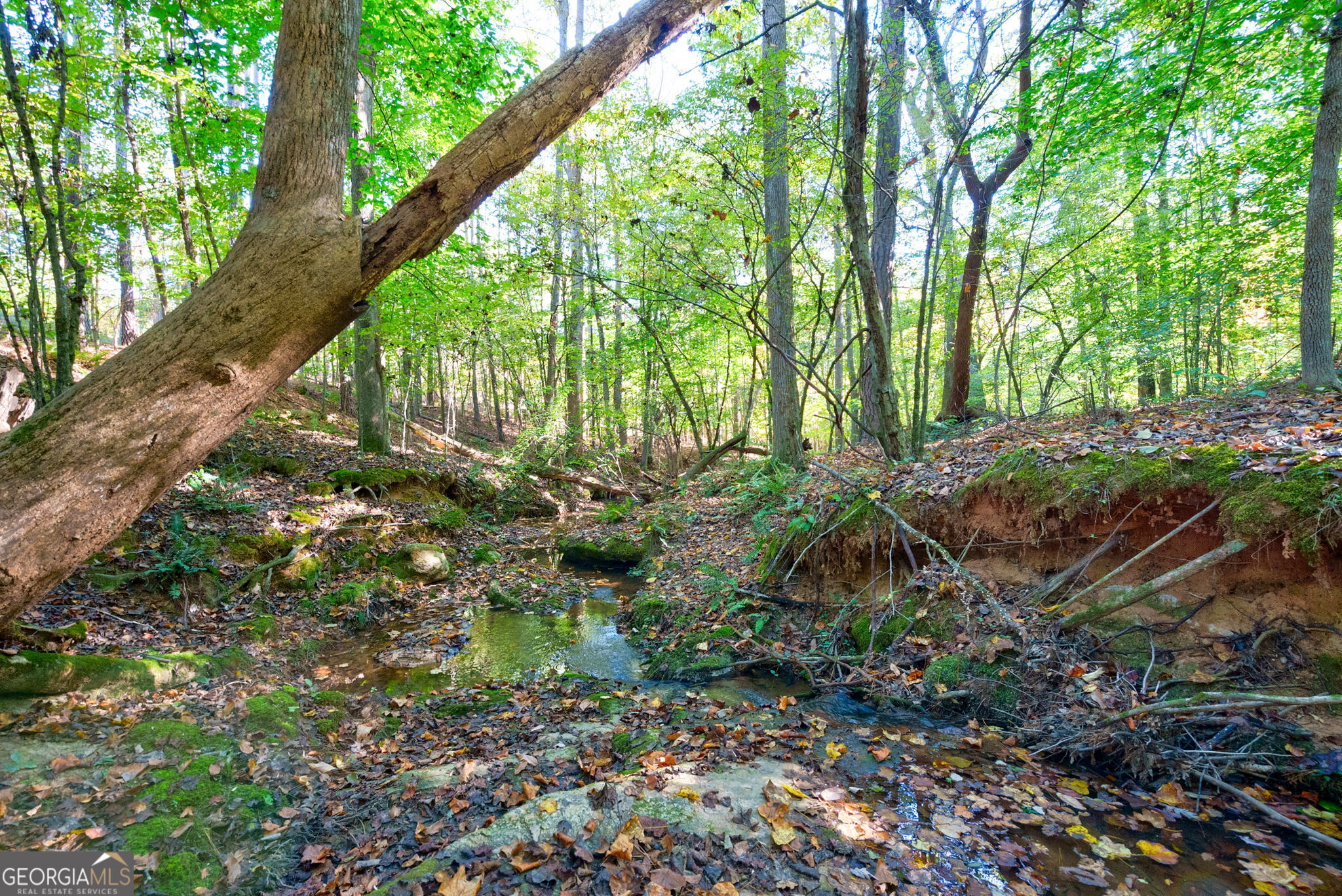1 Bridges Road Carlton, GA 30627 - Photo 18 of 33