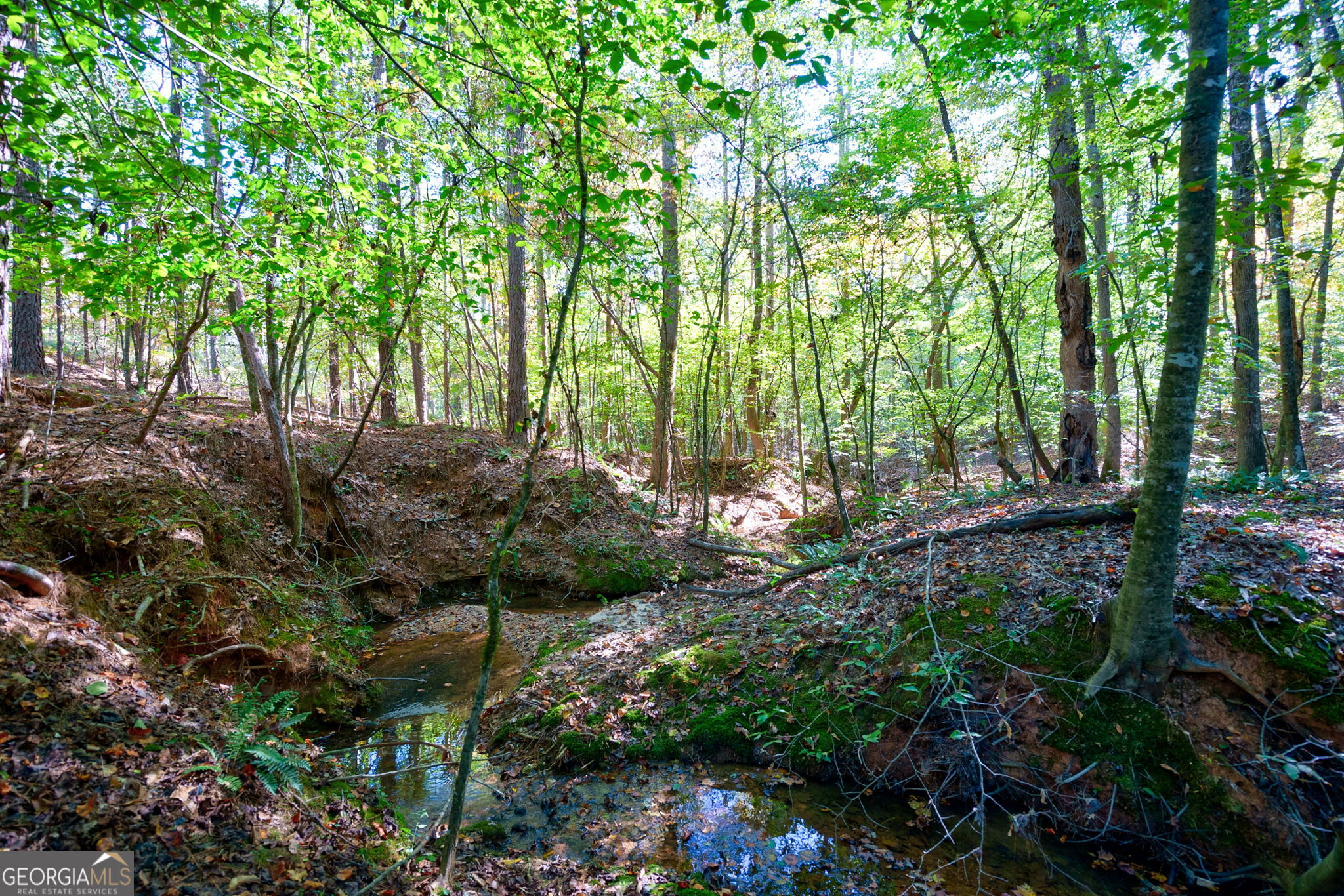 1 Bridges Road Carlton, GA 30627 - Photo 19 of 33