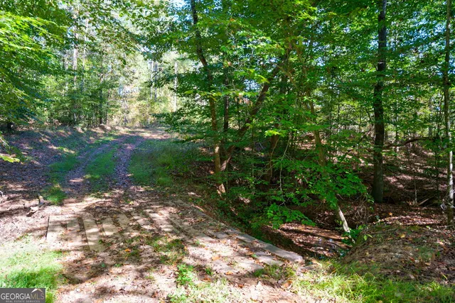 $417,000 | 1 Bridges Road, Carlton, GA 30627