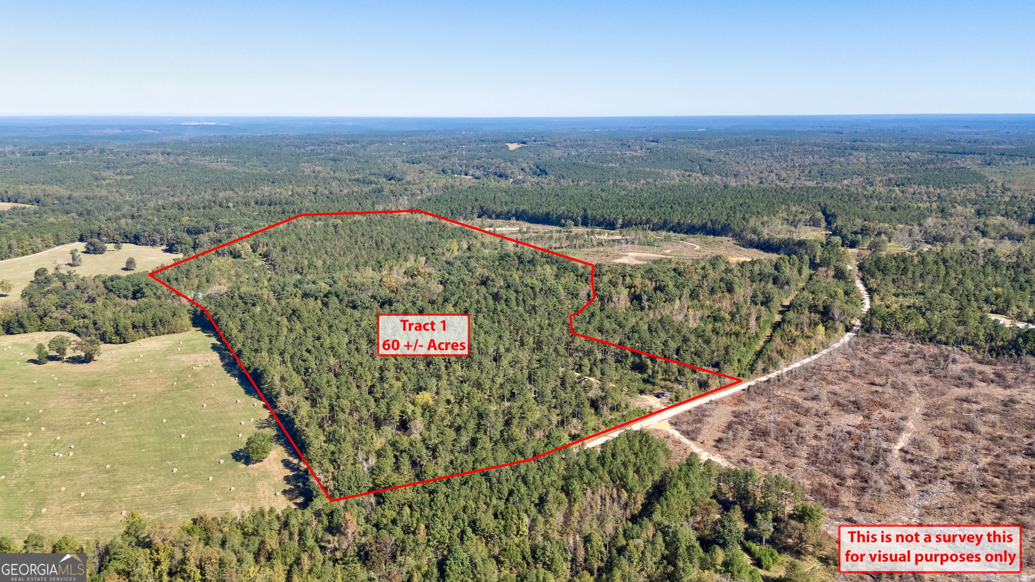 1 Bridges Road Carlton, GA 30627 - Photo 2 of 33