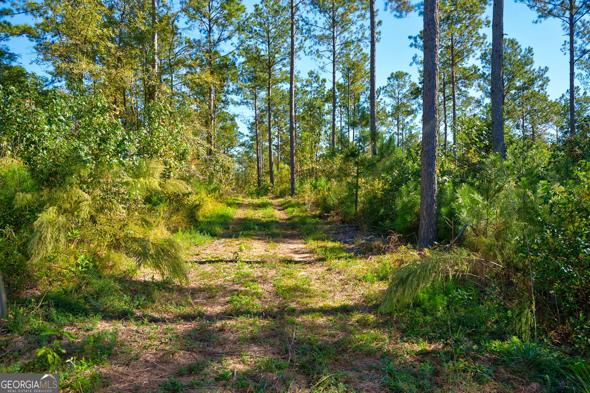 1 Bridges Road Carlton, GA 30627 - Photo 21 of 33