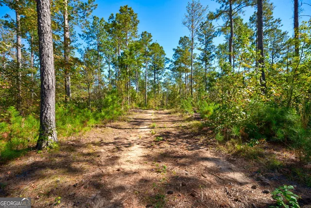 $417,000 | 1 Bridges Road, Carlton, GA 30627