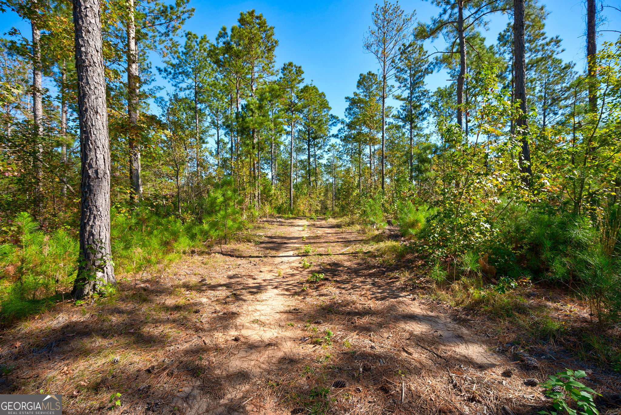 1 Bridges Road Carlton, GA 30627 - Photo 22 of 33