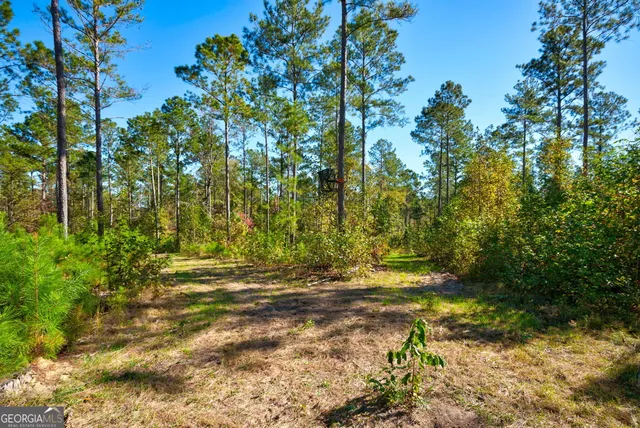 $417,000 | 1 Bridges Road, Carlton, GA 30627