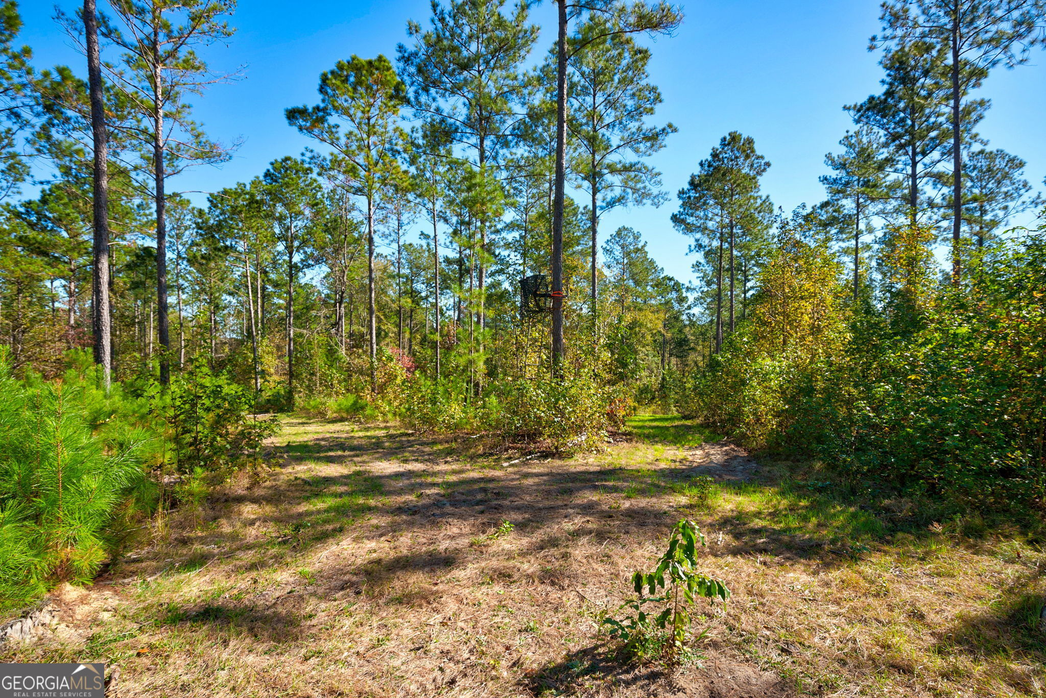 1 Bridges Road Carlton, GA 30627 - Photo 23 of 33