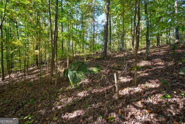 $417,000 | 1 Bridges Road, Carlton, GA 30627