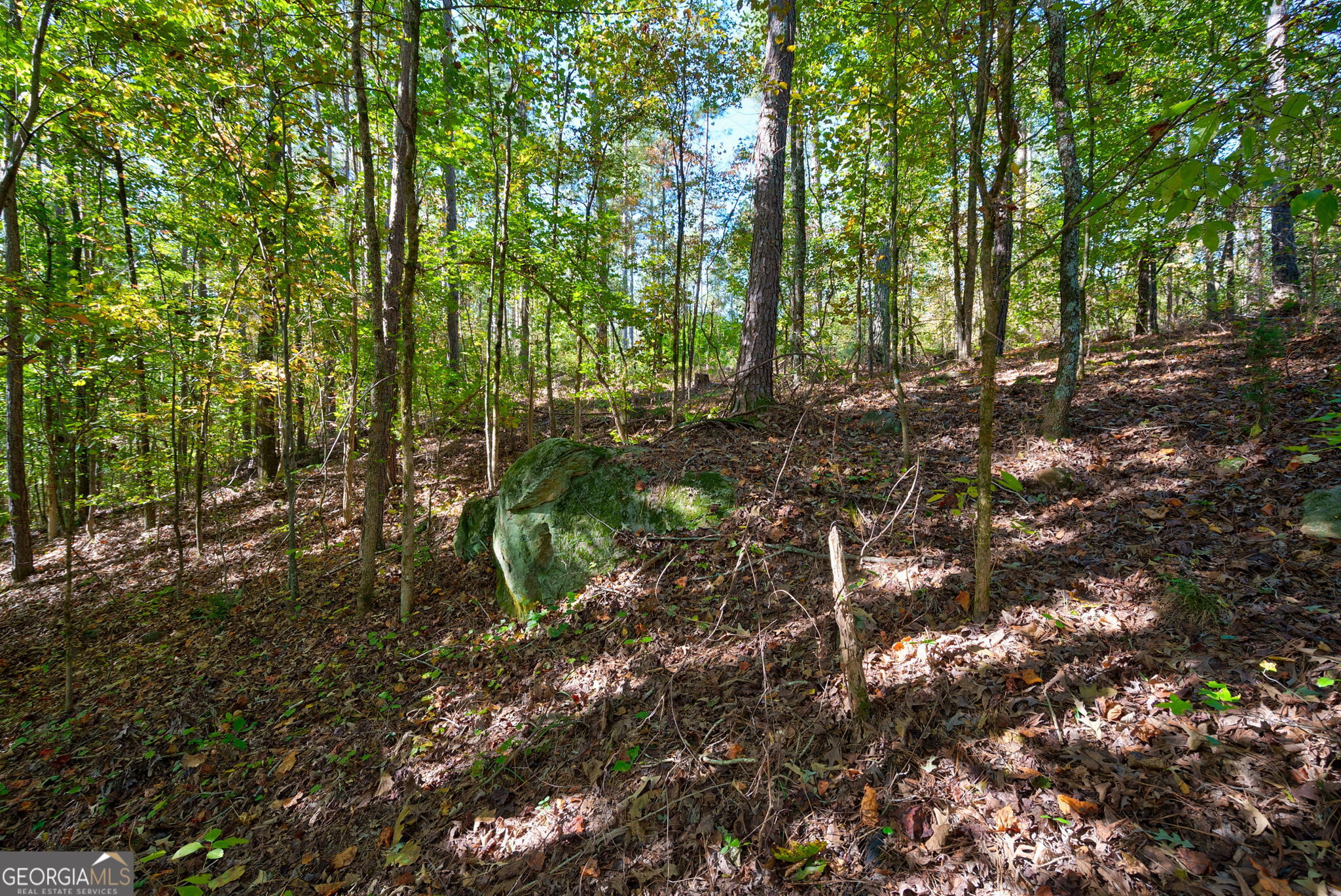 1 Bridges Road Carlton, GA 30627 - Photo 24 of 33