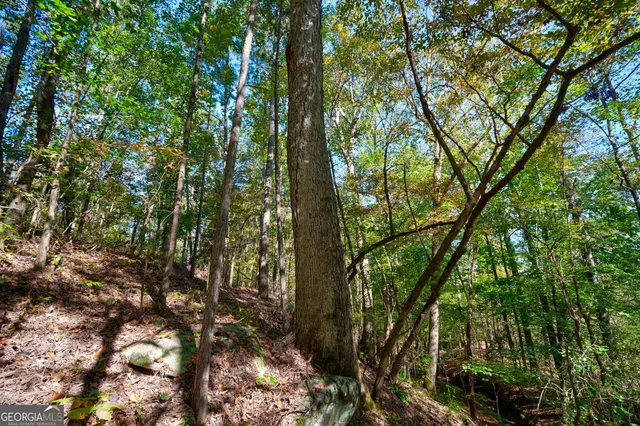 $417,000 | 1 Bridges Road, Carlton, GA 30627