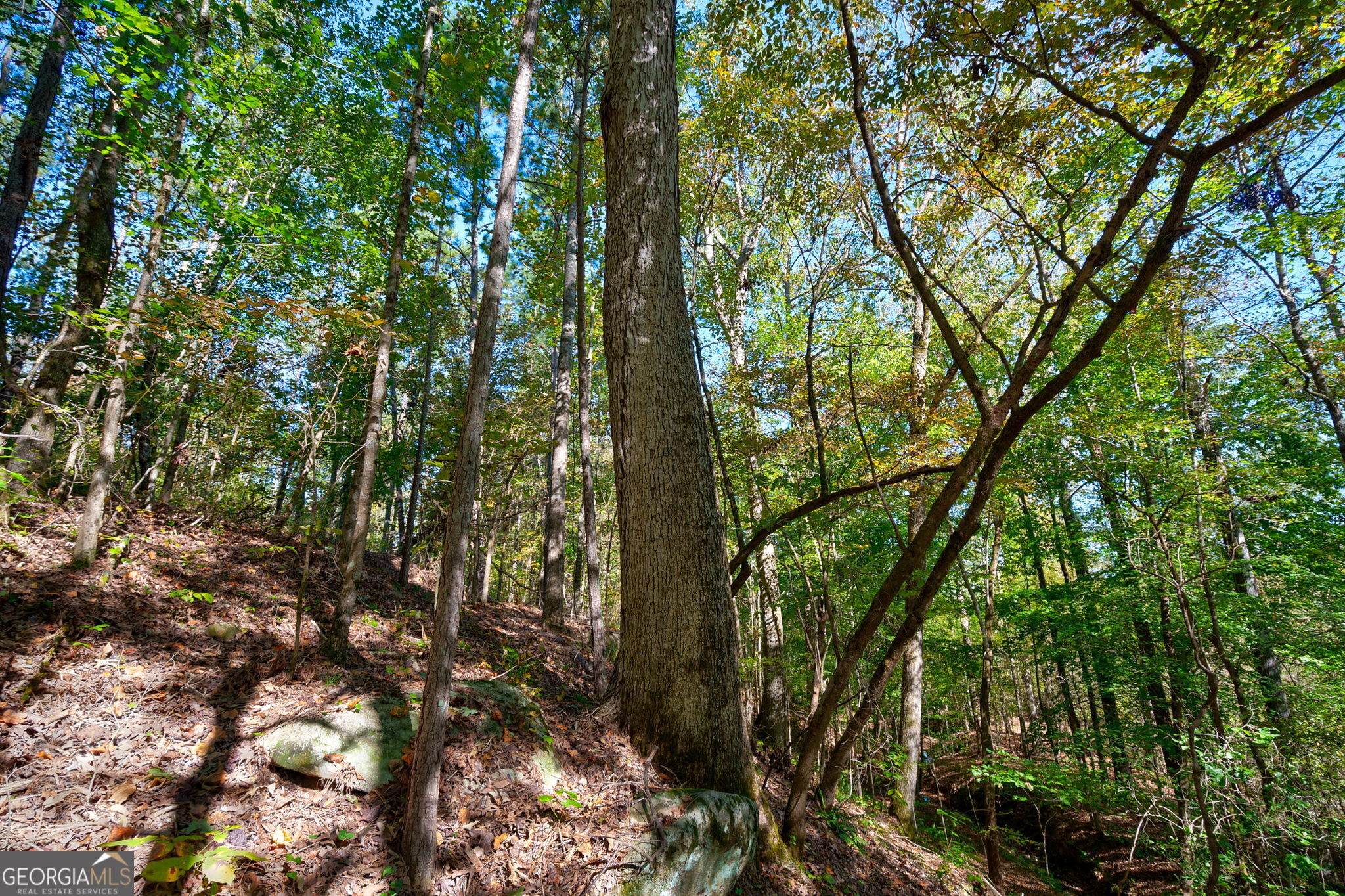 1 Bridges Road Carlton, GA 30627 - Photo 25 of 33