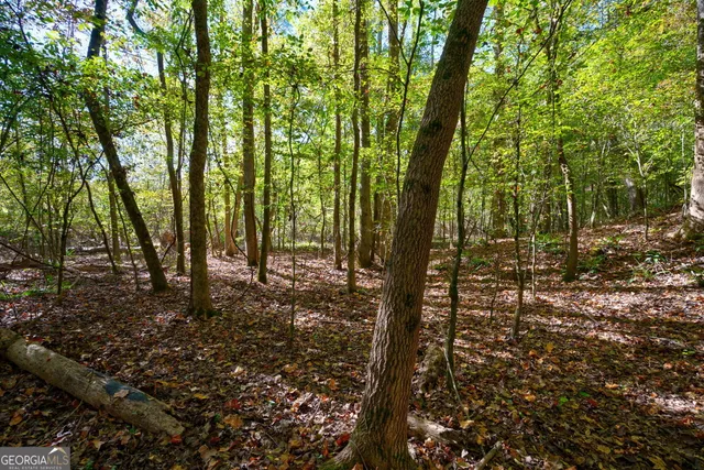 $417,000 | 1 Bridges Road, Carlton, GA 30627