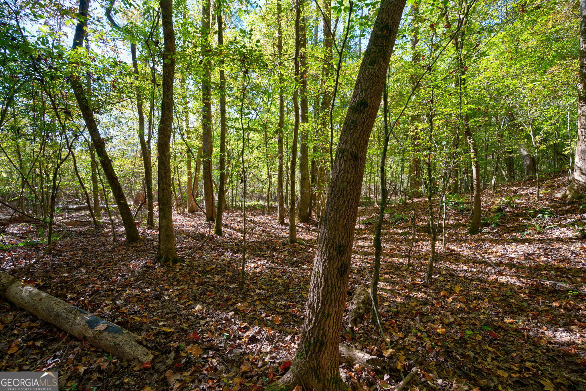 1 Bridges Road Carlton, GA 30627 - Photo 26 of 33