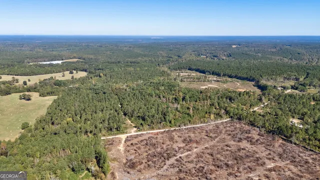 $417,000 | 1 Bridges Road, Carlton, GA 30627