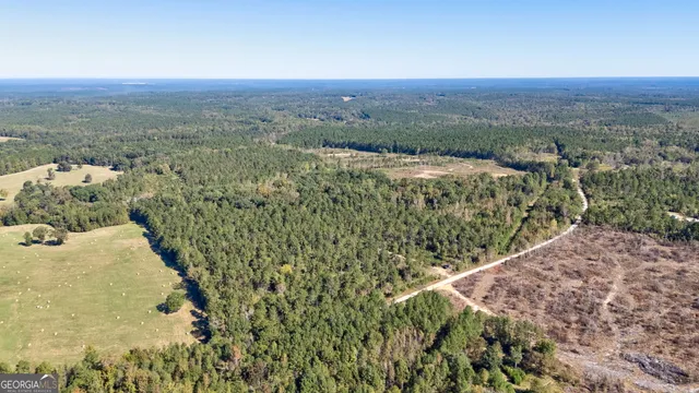 $417,000 | 1 Bridges Road, Carlton, GA 30627