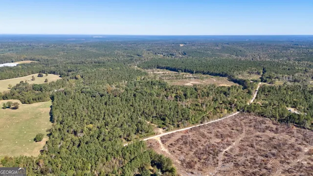 $417,000 | 1 Bridges Road, Carlton, GA 30627