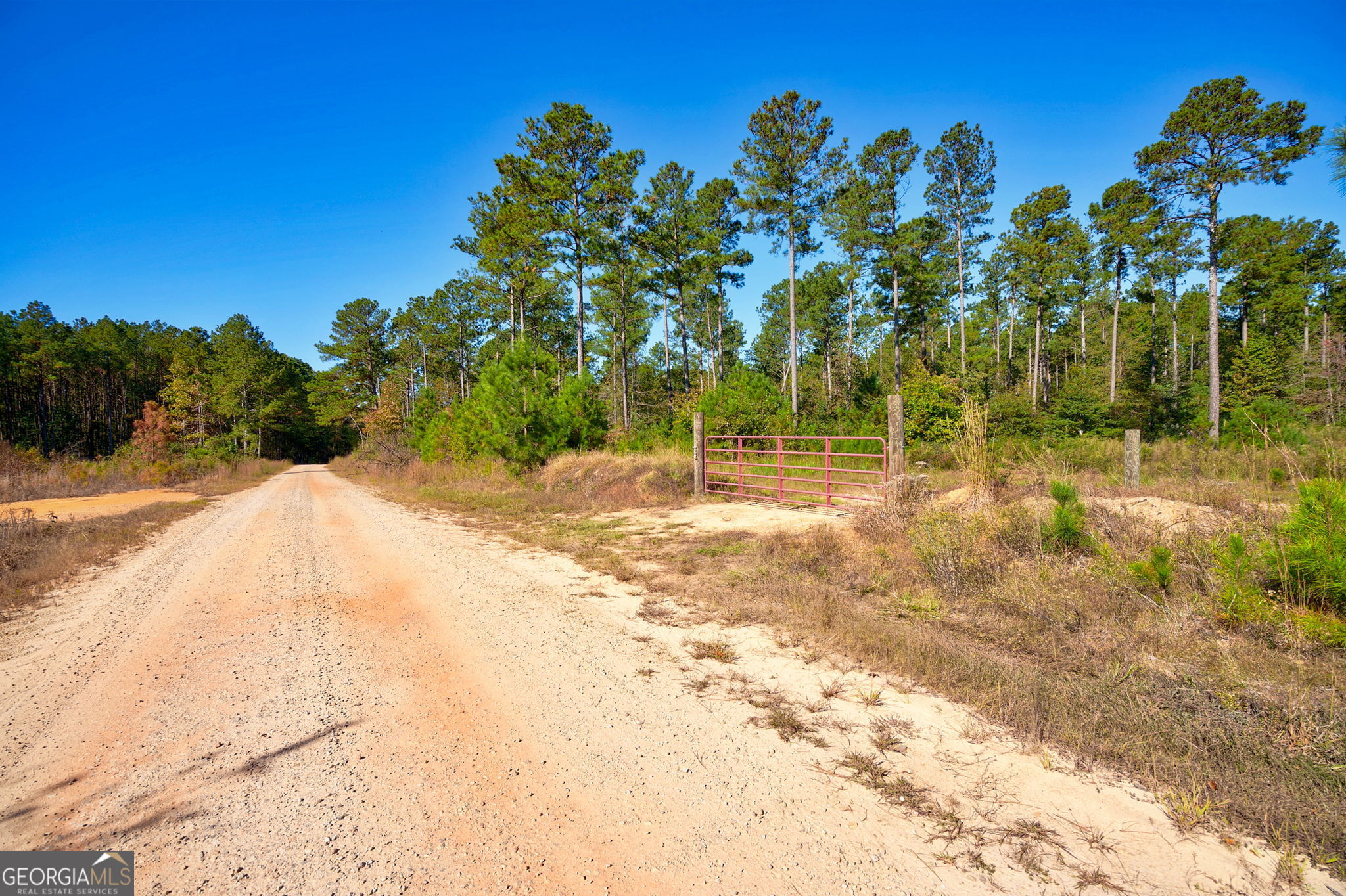 1 Bridges Road Carlton, GA 30627 - Photo 3 of 33