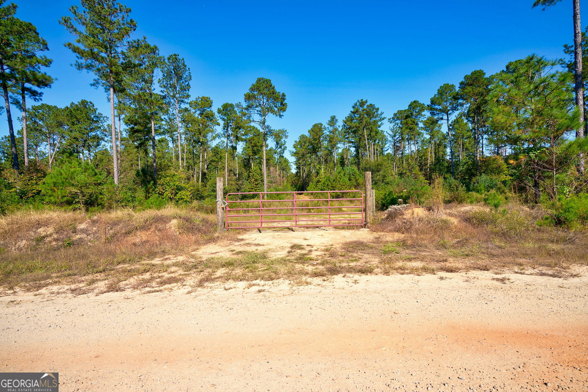 1 Bridges Road Carlton, GA 30627 - Photo 4 of 33