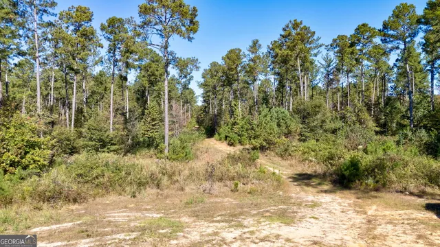 $417,000 | 1 Bridges Road, Carlton, GA 30627