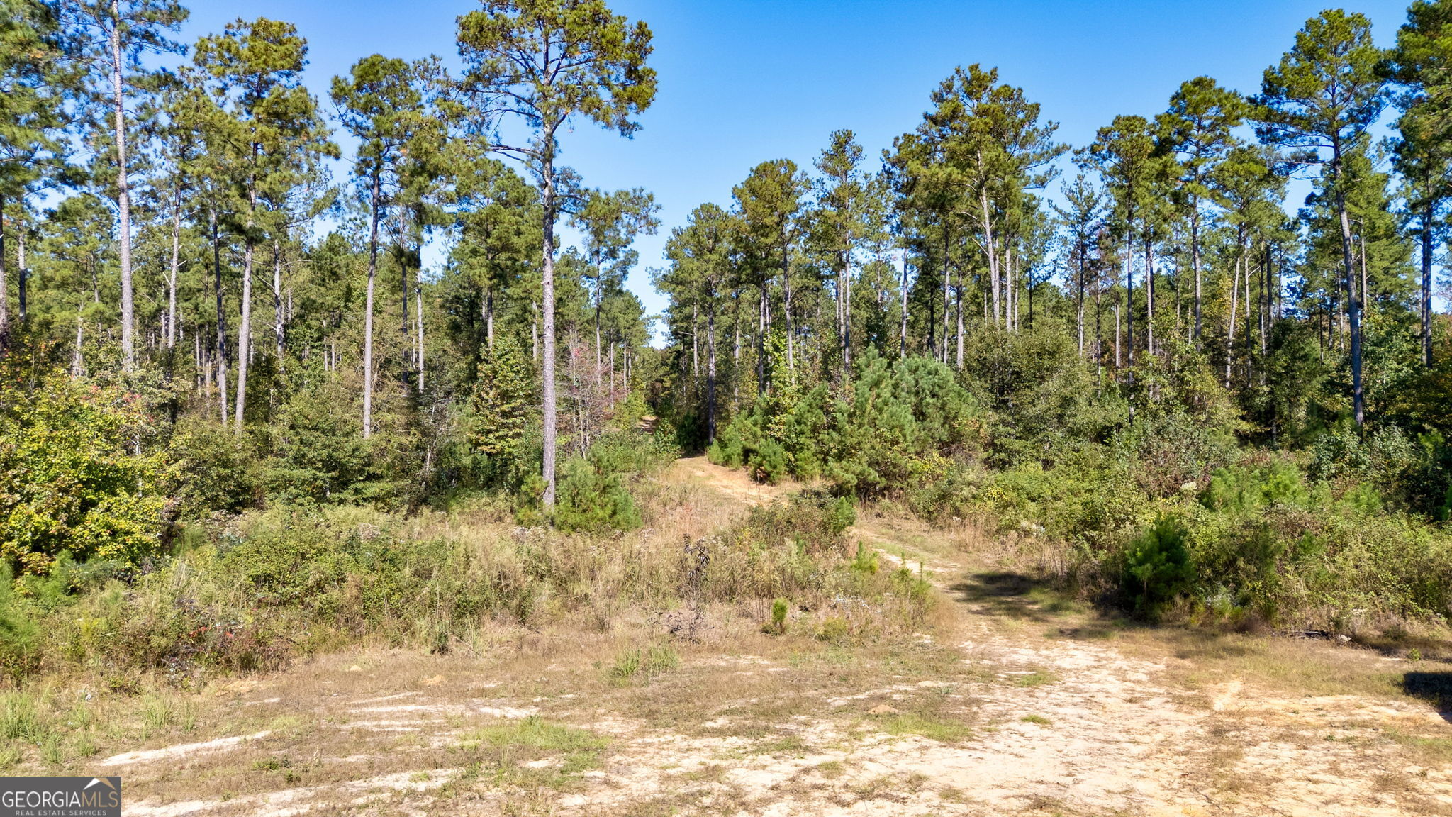 1 Bridges Road Carlton, GA 30627 - Photo 5 of 33