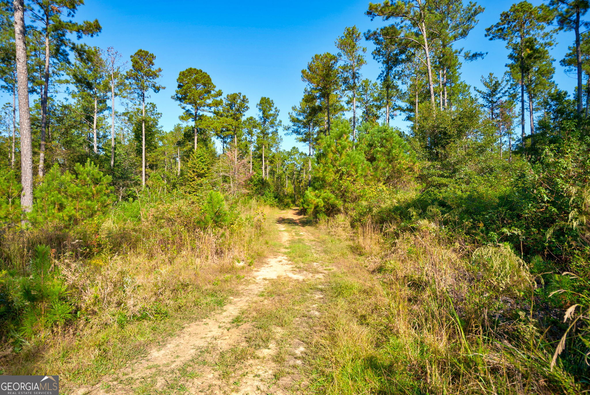 1 Bridges Road Carlton, GA 30627 - Photo 8 of 33