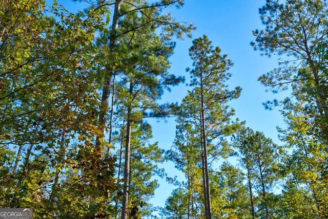 $417,000 | 1 Bridges Road, Carlton, GA 30627