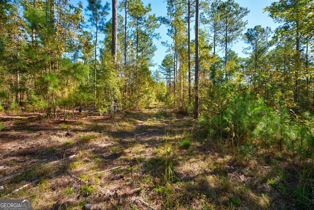 $417,000 | 1 Bridges Road, Carlton, GA 30627