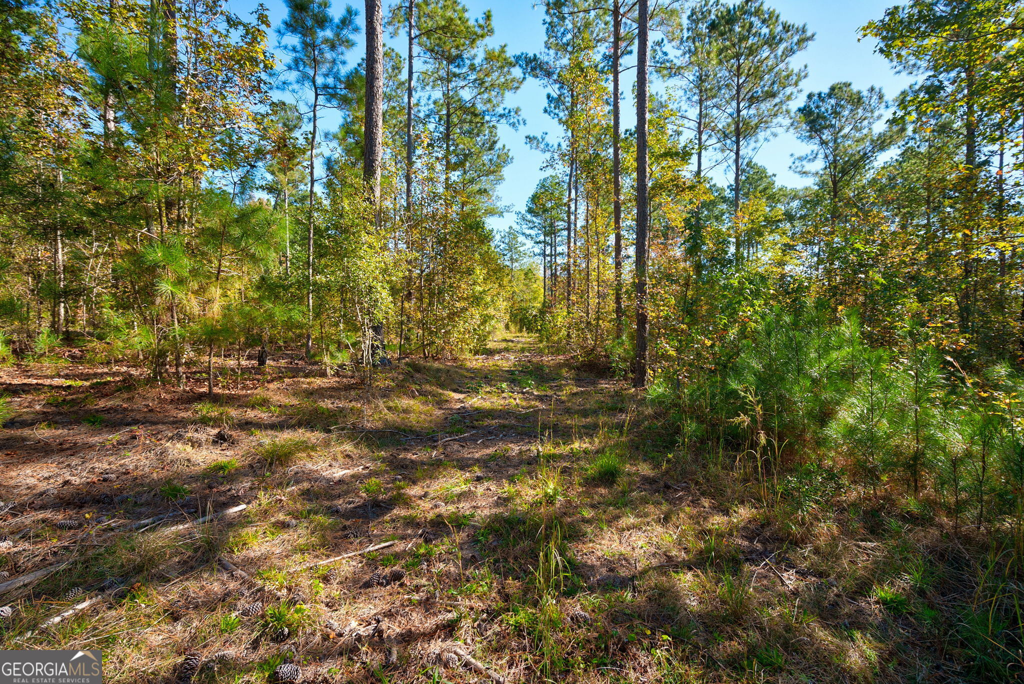 1 Bridges Road Carlton, GA 30627 - Photo 10 of 33