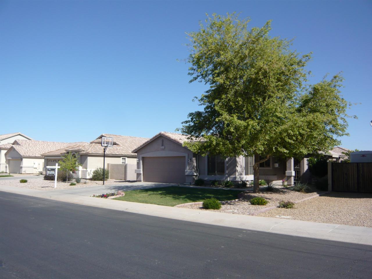 3368 East Warbler Road Gilbert, AZ 85297 - Photo 2 of 30 FRONT ELEVATION