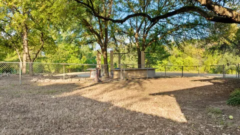 a view of yard and tree