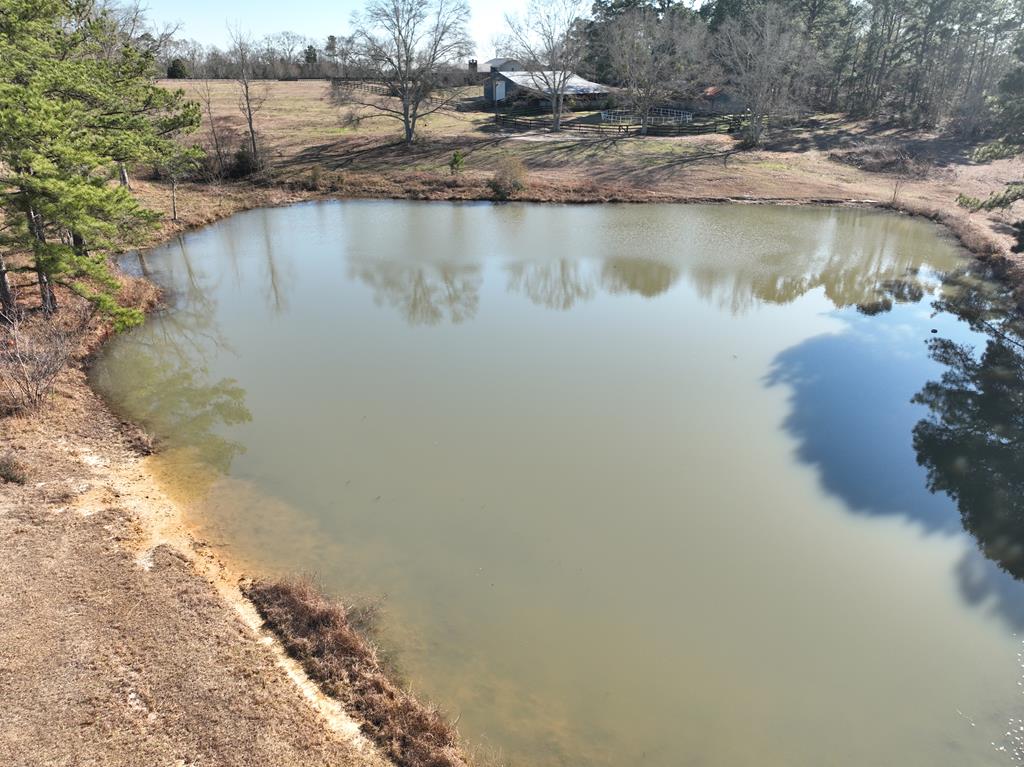 501 Cool Springs Road Opp, AL 36467 - Photo 39 of 48 Pond