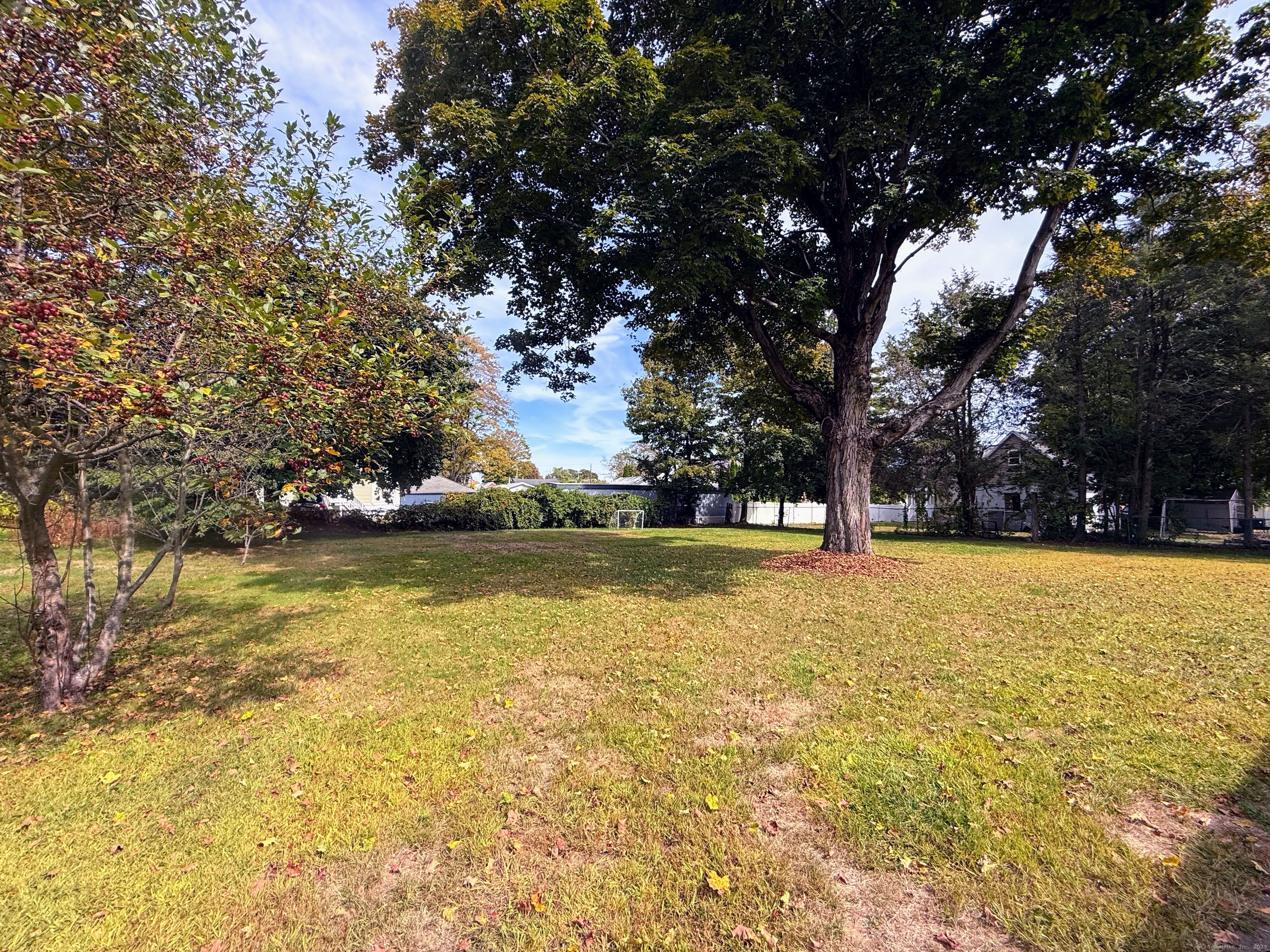 211 Spencer Street Naugatuck, CT 06770 - Photo 25 of 25 a view of swimming pool with trees
