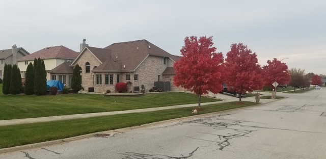 1237 Parliament Street Crete, IL 60417 - Photo 3 of 66