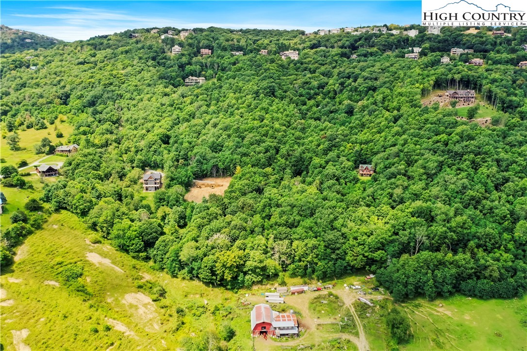 515 Grey Fox Ridge Road Banner Elk, NC 28604 - Photo 12 of 25 a view of a garden with an outdoor space
