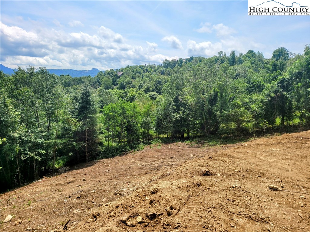 515 Grey Fox Ridge Road Banner Elk, NC 28604 - Photo 15 of 25 a view of a backyard of the house