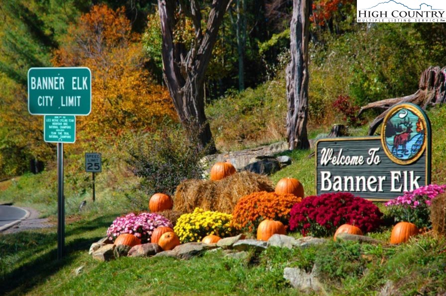 515 Grey Fox Ridge Road Banner Elk, NC 28604 - Photo 19 of 25