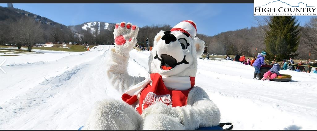 515 Grey Fox Ridge Road Banner Elk, NC 28604 - Photo 25 of 25 a view of entryway