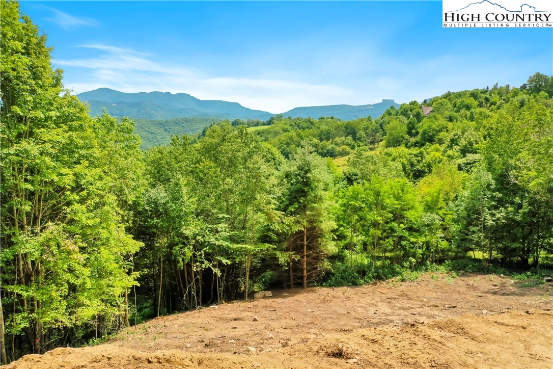 515 Grey Fox Ridge Road Banner Elk, NC 28604 - Photo 3 of 25 a view of a yard with plants and a bench