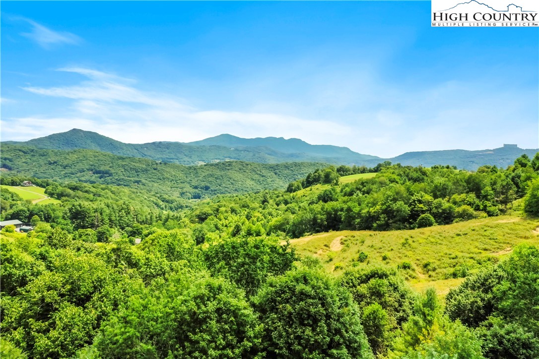515 Grey Fox Ridge Road Banner Elk, NC 28604 - Photo 4 of 25 a view of a lush green hillside and a houses