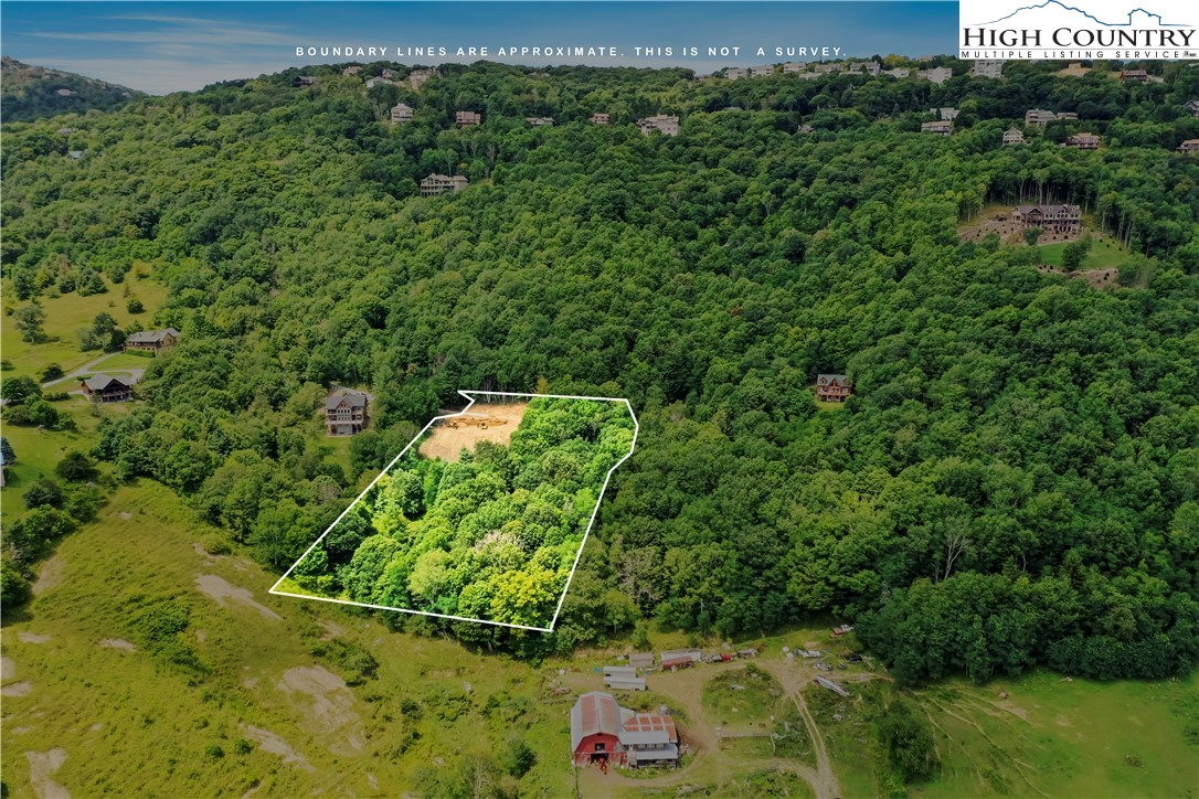 515 Grey Fox Ridge Road Banner Elk, NC 28604 - Photo 6 of 25 a backyard of a house with lots of green space
