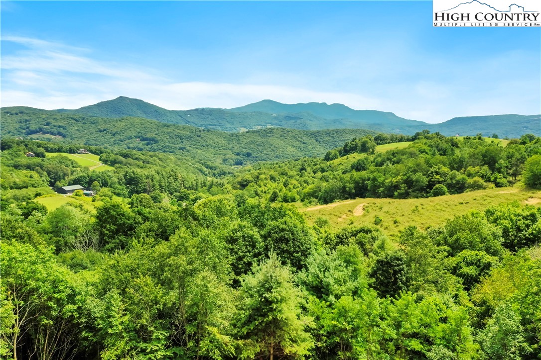 515 Grey Fox Ridge Road Banner Elk, NC 28604 - Photo 7 of 25 a view of a lush green field with mountains in the background