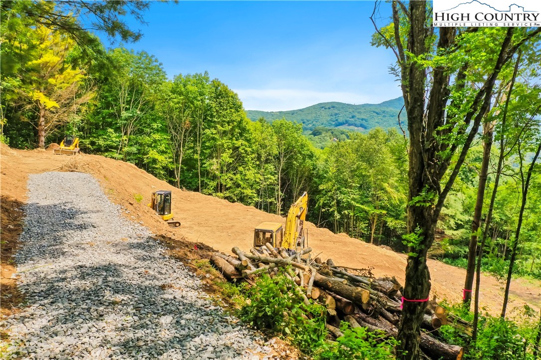 515 Grey Fox Ridge Road Banner Elk, NC 28604 - Photo 10 of 25 a view of a yard with a tree