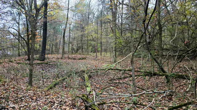 $570,000 | 38 Cayce Road, Red Banks, MS 38661