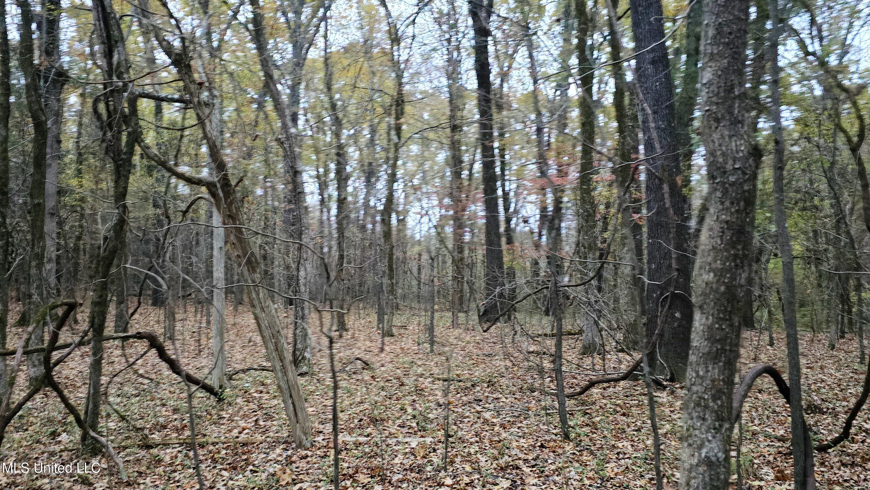 38 Cayce Road Red Banks, MS 38661 - Photo 15 of 19 20241204_162850