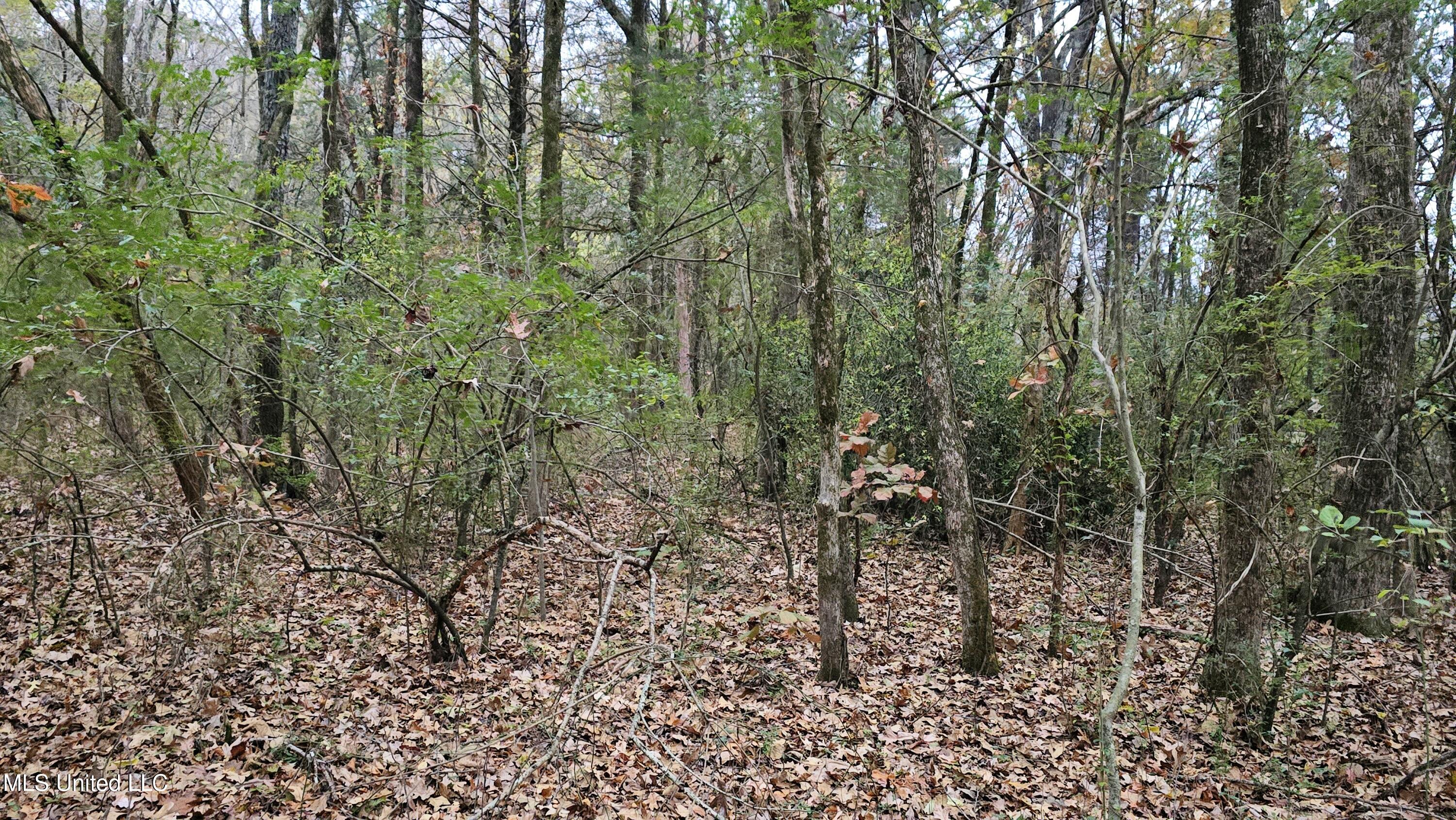 38 Cayce Road Red Banks, MS 38661 - Photo 16 of 19 20241204_163038