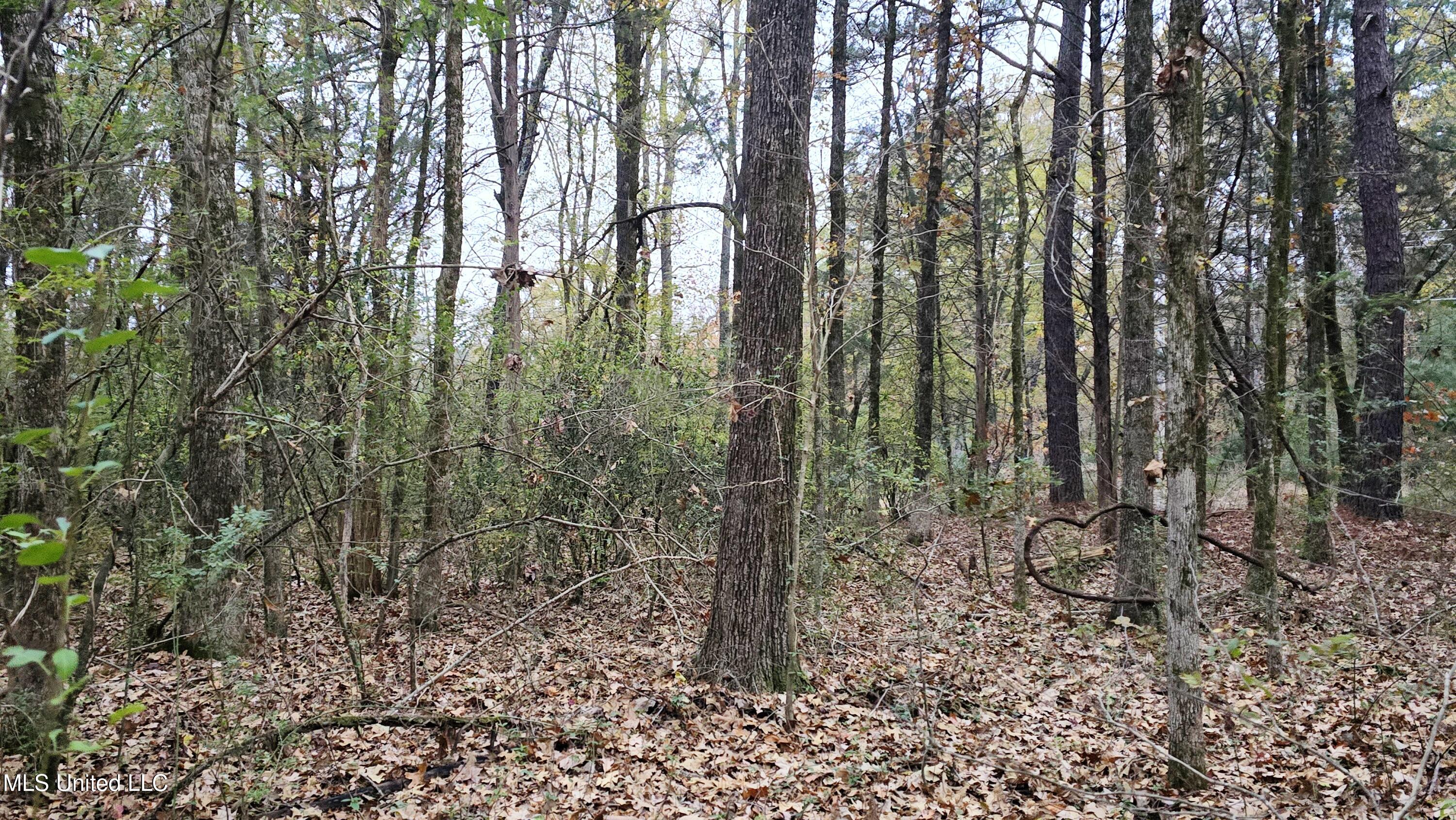 38 Cayce Road Red Banks, MS 38661 - Photo 17 of 19 20241204_163043