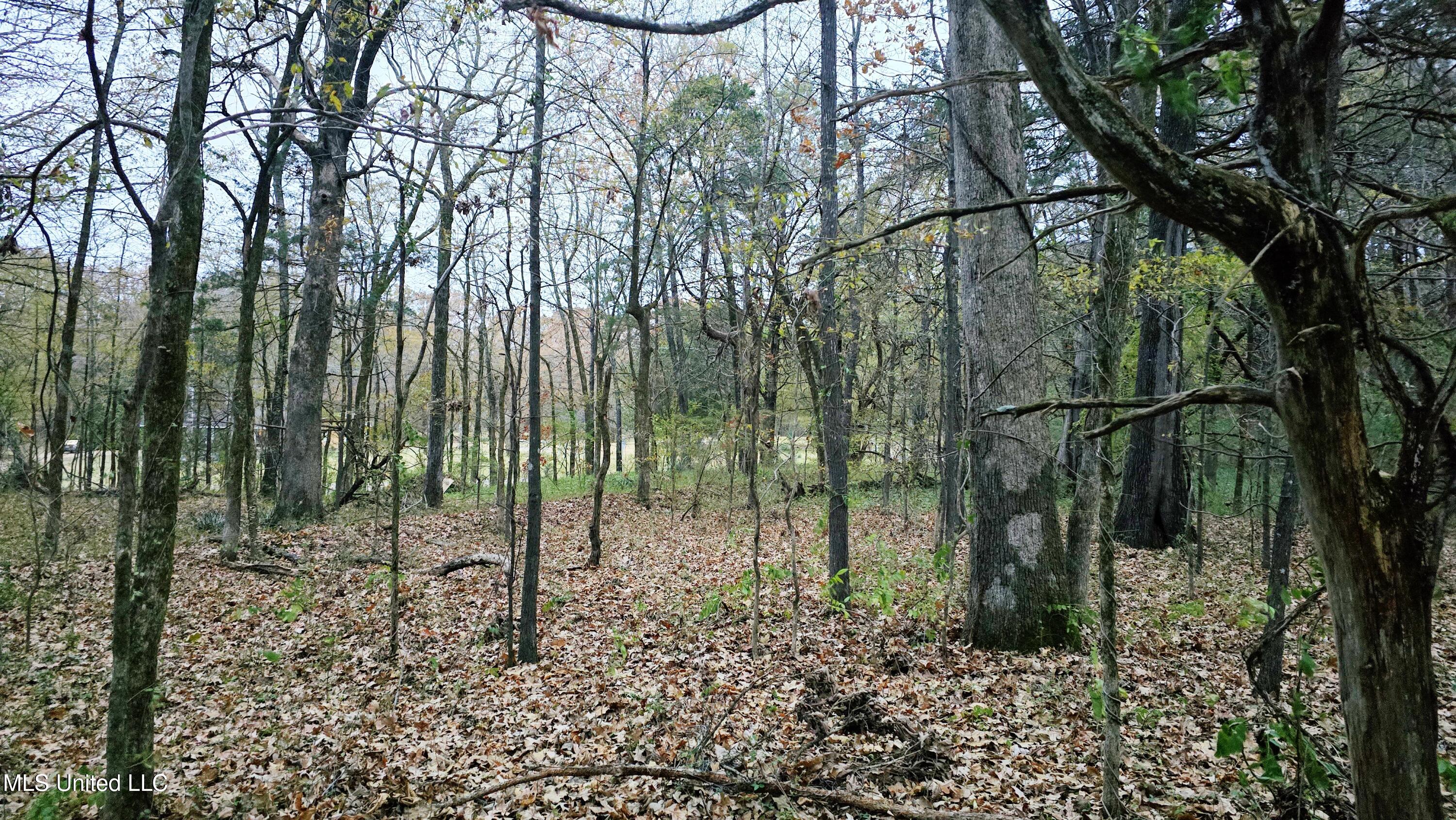 38 Cayce Road Red Banks, MS 38661 - Photo 18 of 19 20241204_163634